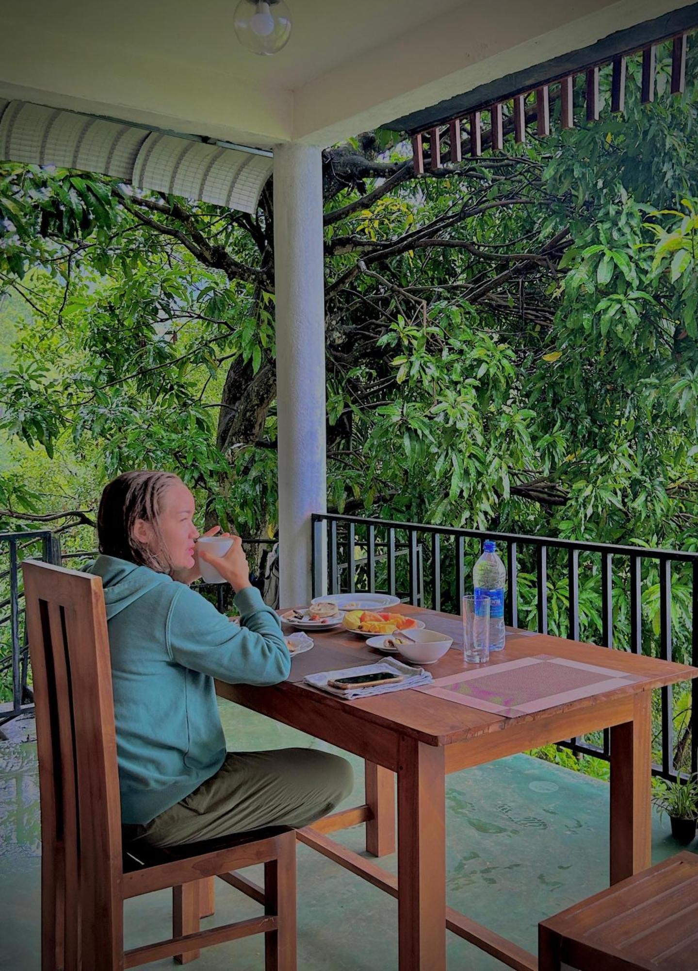 Nature Green Hotels On Rock Home 엘라 외부 사진